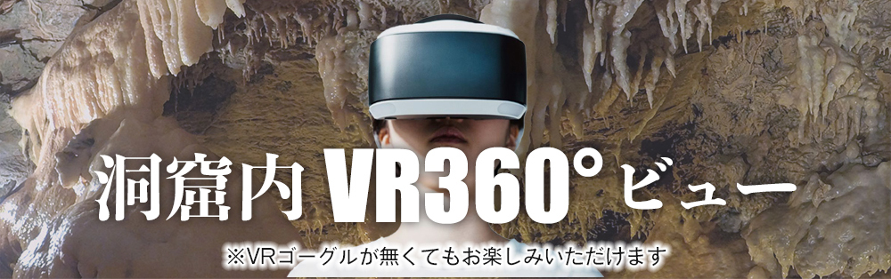 洞窟内VR360度ビュー